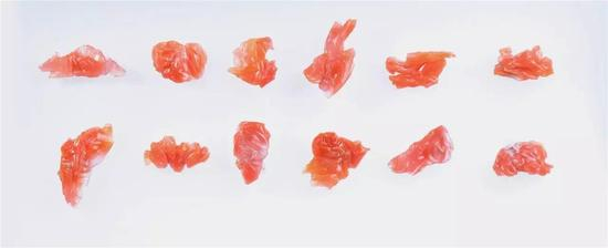 许延平《十二生肖》