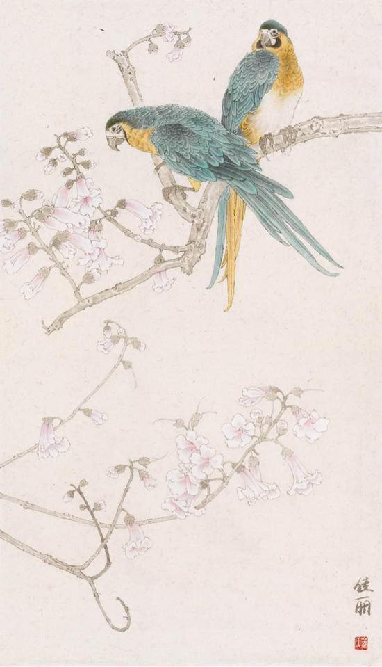 崔佳丽作品 2015年《桐花鹦鹉图》69x45cm