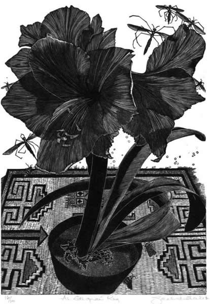 萨拉·范·尼凯克《埃塞尔比亚毯》20×28cm
