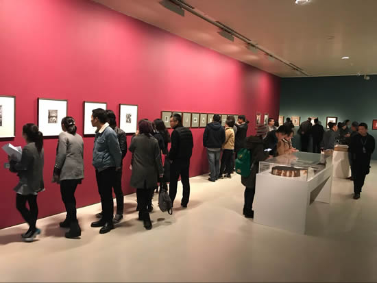 展览现场 