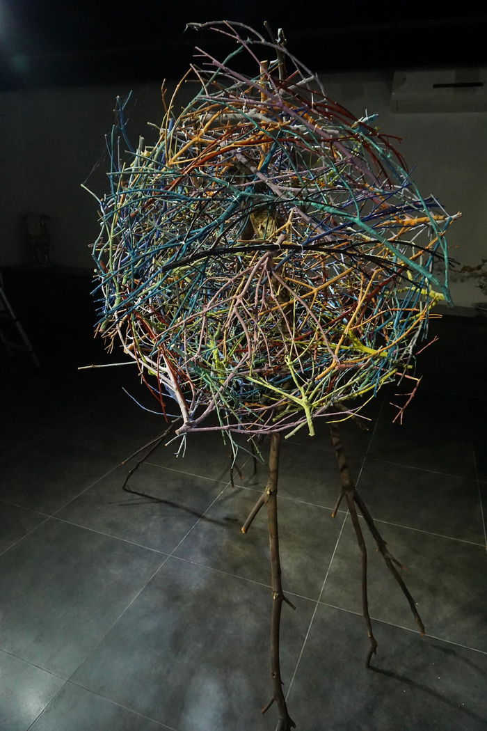 范钟鸣，风的笼子侧面，150X70X180cm，树枝，丙烯颜料，2017年