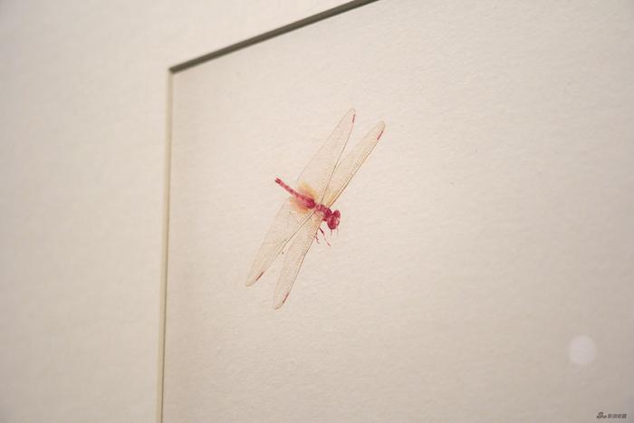 展览现场