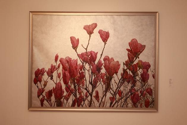 绽放—谭尚勤油画艺术个展,今日美术馆展览现场