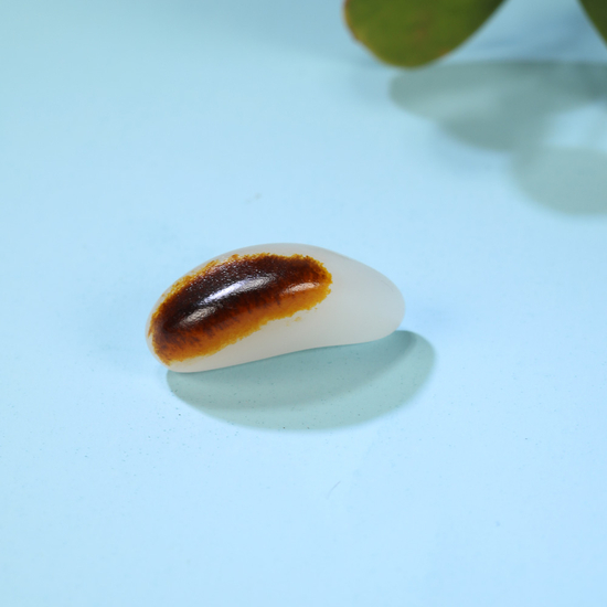 　　02901 　新疆和田玉红皮籽料奇石龙牙 　规格：1.9×0.9×0.8cm 　　重量：2.1g 　白度：羊脂 　脂份：极高 　密度：极好