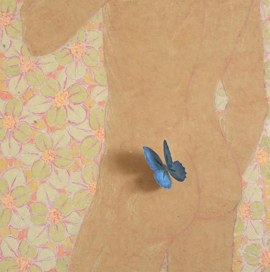 Butterfly Manno.8-纸本设色-32cmx32cm-2016年
