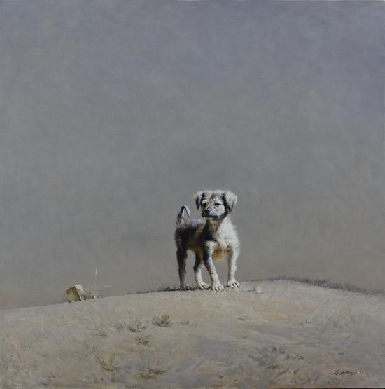 迷路的小狗120x120cm2015年