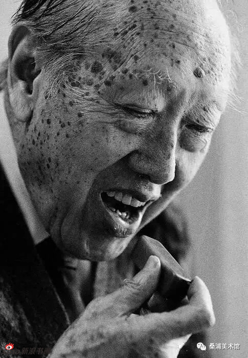 赵少昂（1905~1998）