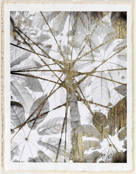 Morototoni，Positive-Mixed-Media-with-gold-foil-on-canvas，66-x-81cm，2016