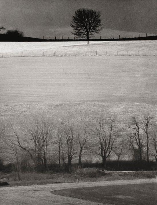 Charleston。 Gelatin Silver Print