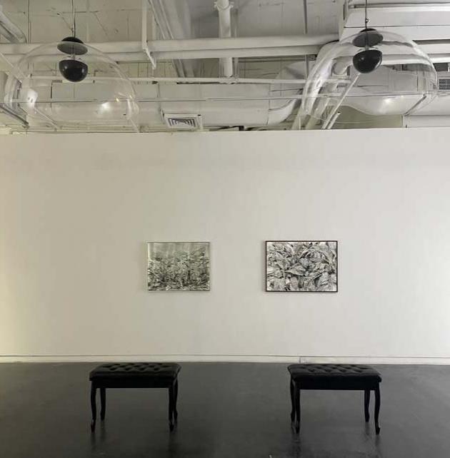 裴丽/Pei Li 《心得与建树》/“Experiece &; Contribution”