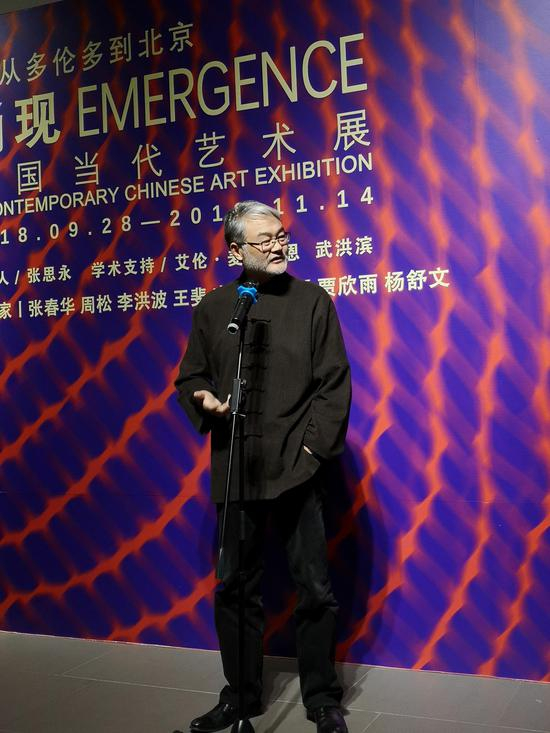北京太和艺术空间董事长、策展人 贾廷峰 发言