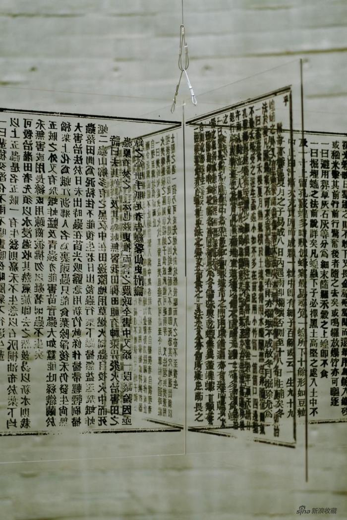 王朴之 《治蝗说1875-2021 / Locust Fighting 1875-2021》装置,亚克力精喷 2022