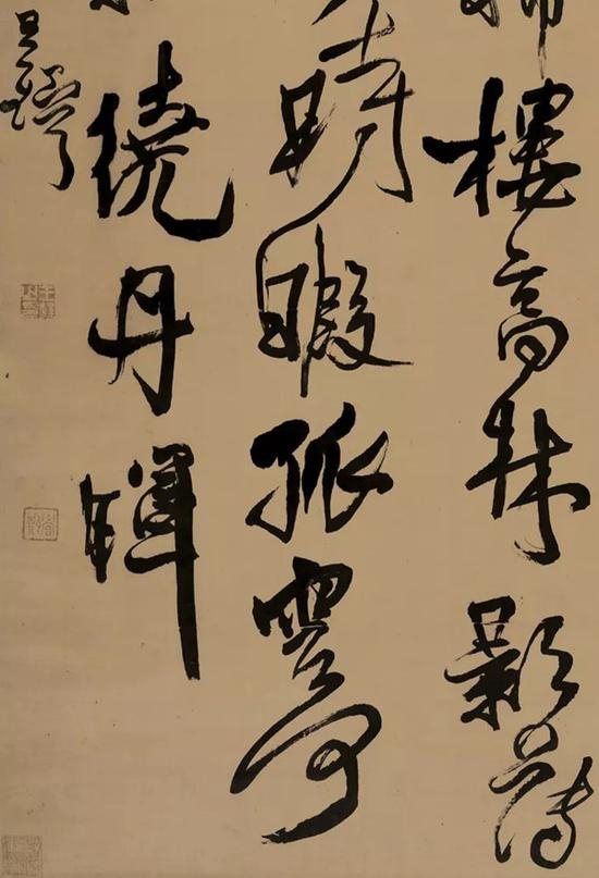 局部欣赏