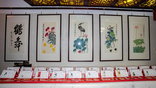 展览作品