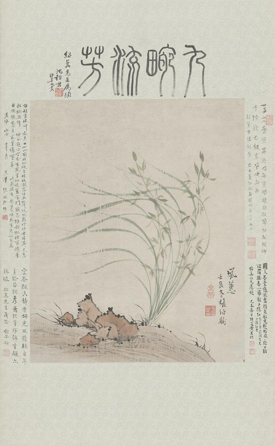 风蕙图 张伯驹&nbsp;