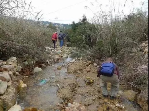 福建寿山村田黄产区