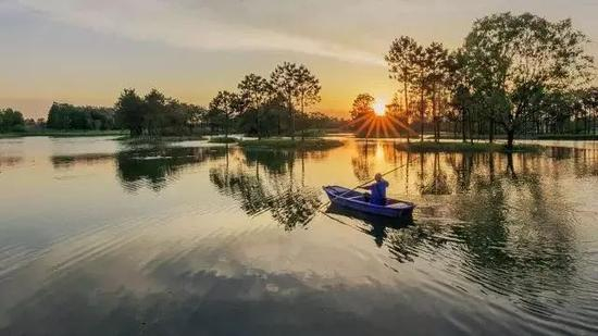 乌镇达园湿地公园