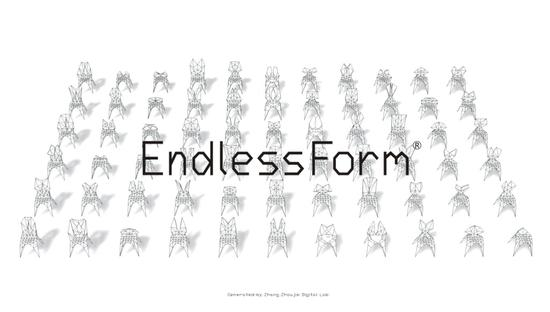 张周捷_Endless Form_2