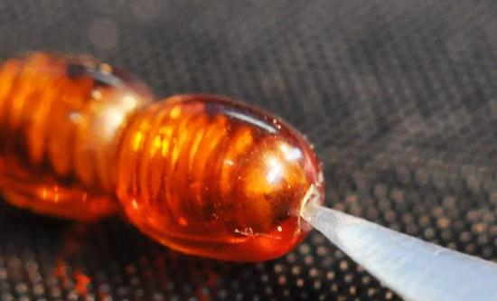 真琥珀穿孔出有粉装残留