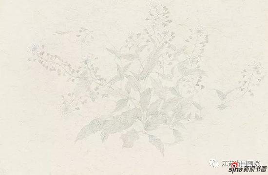 王法 《八花图之四》45cm×68cm 2016年