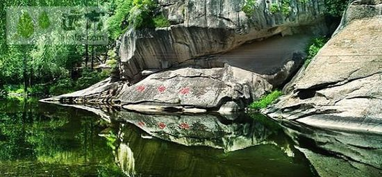 问渠那得清如许