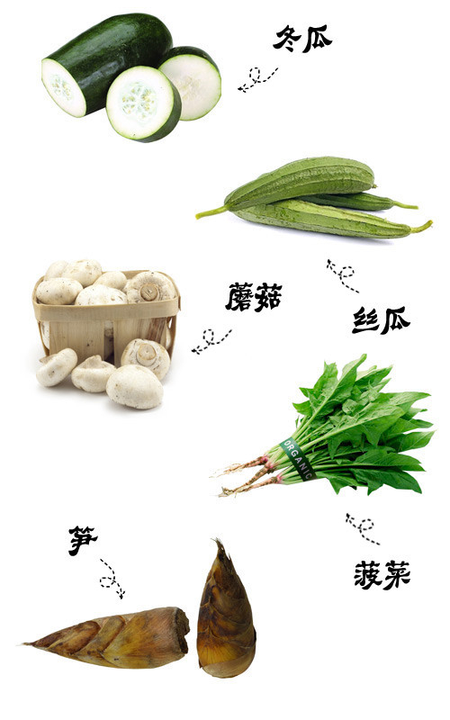 凉性蔬菜