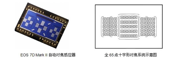 佳能7D Mark II使用最新的65点全十字对焦系统
