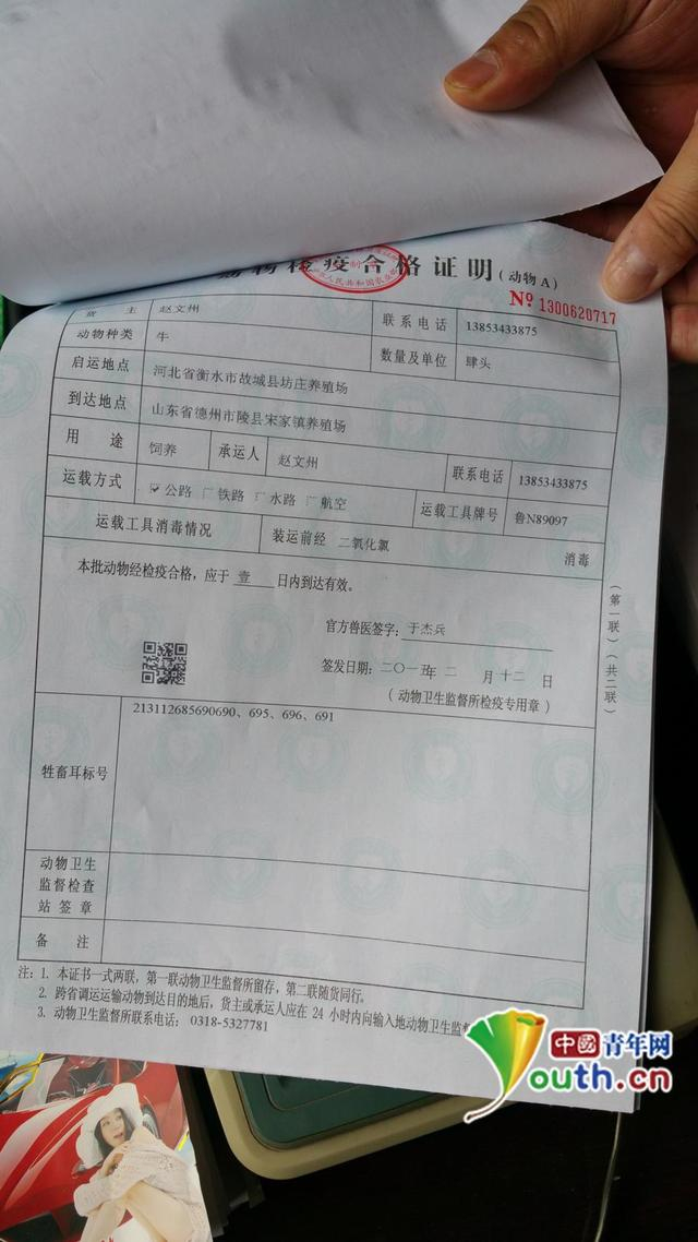 记者在动检部门拍到的编号为1300620717的检疫证明存根联。
