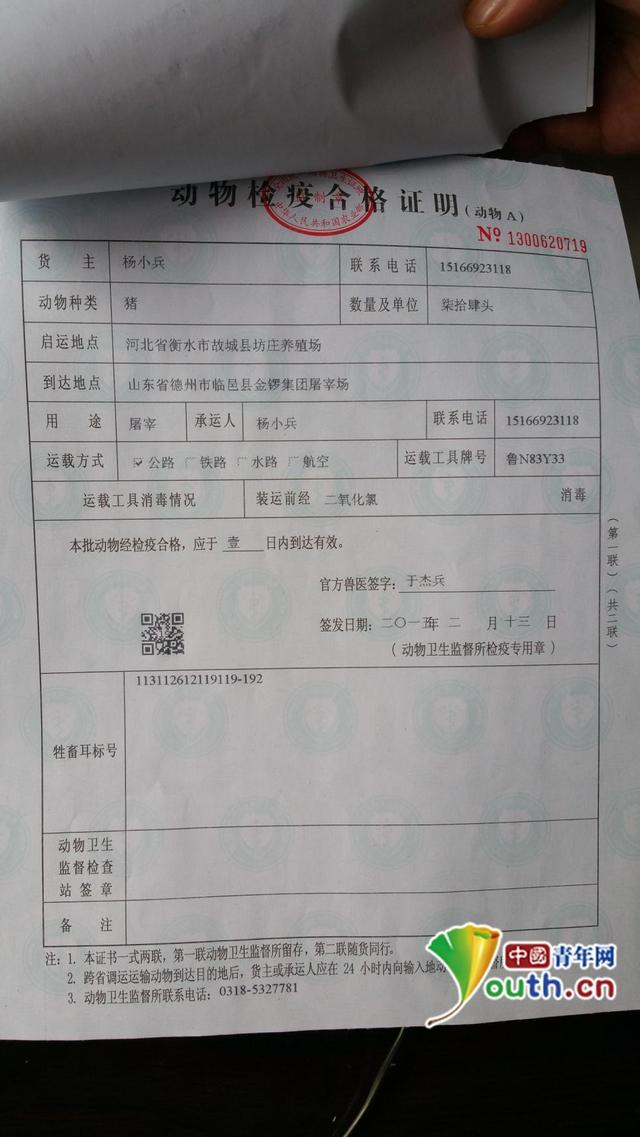记者在动检部门拍到的编号为1300620719的检疫证明存根联。