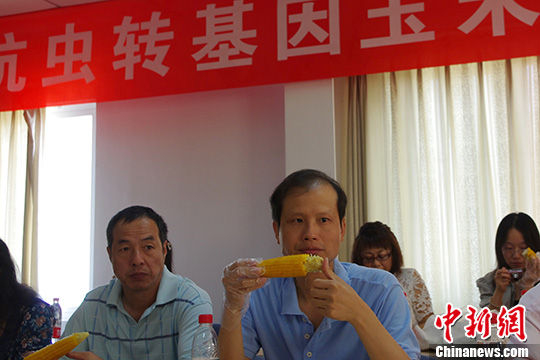 方舟子品尝转基因玉米 资料图