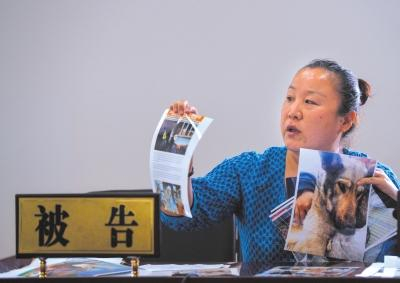 被告席上的苏平女士举证。京华时报记者 王苡萱 摄