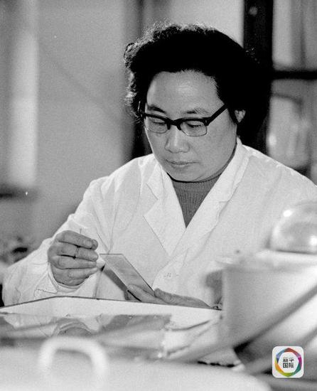 这是20世纪80年代初，任中医研究院中药研究所副研究员的屠呦呦在研制抗疟新药“青蒿素”