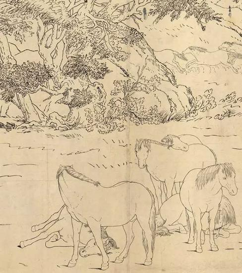 郎世宁 《百骏图白描稿》卷 纽约大都会博物馆藏