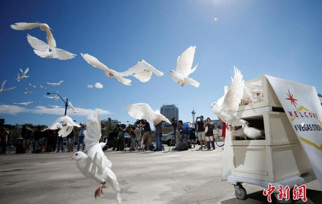 拉斯维加斯市政广场放飞白鸽 悼念枪击案遇难者