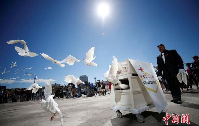 拉斯维加斯市政广场放飞白鸽 悼念枪击案遇难者