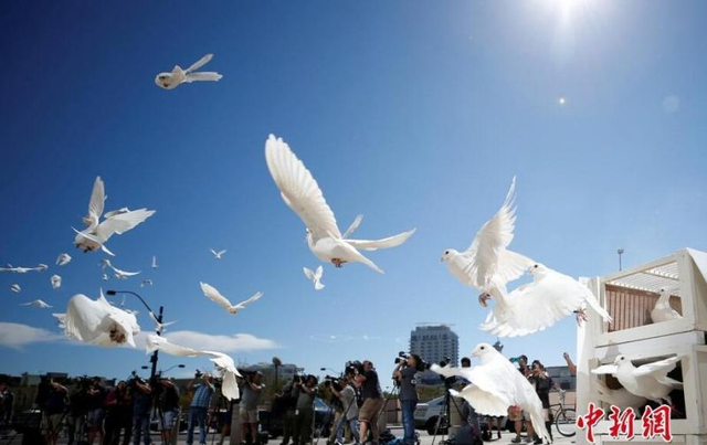 拉斯维加斯市政广场放飞白鸽 悼念枪击案遇难者