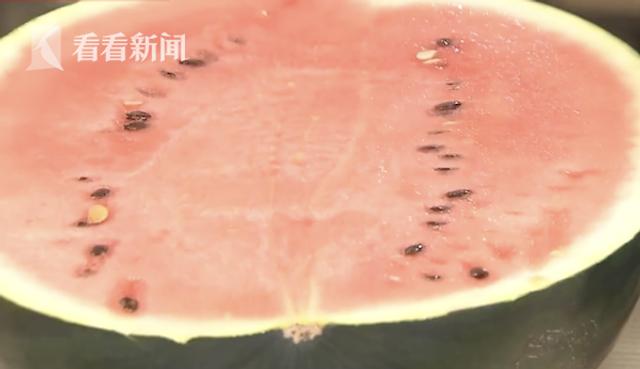 全球最贵西瓜 11公斤日本黑西瓜卖出4 8万元 新浪图片