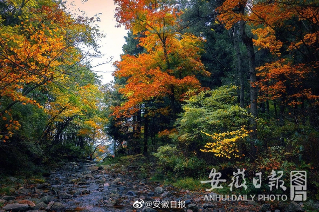 秋染马鬃岭_新浪图片