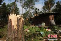 四川内江遭遇狂风暴雨袭击 房屋被淹大树折断