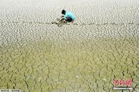 印度遭遇“史上最严重水荒” 河床干涸触目惊心