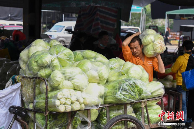 长沙:蔬菜等生活必需品供应充足_新浪图片