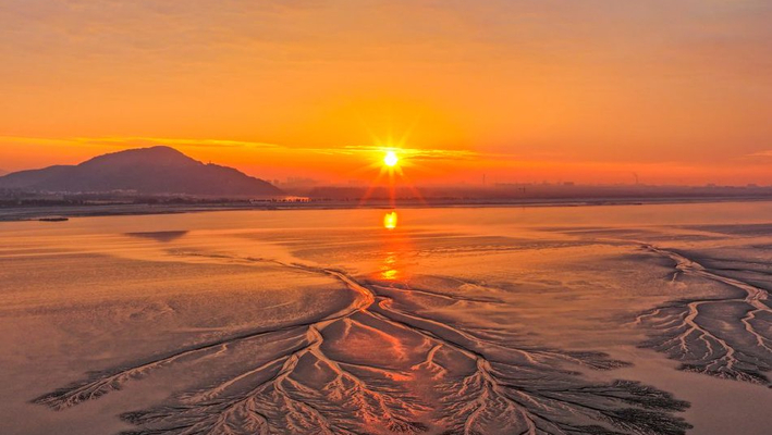 浙江海宁：霞光映潮树 天光落钱塘