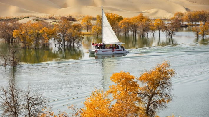 新疆巴州：金秋葫芦岛胡杨林碧波荡漾