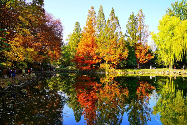 北京：颐和园秋日彩叶斑斓