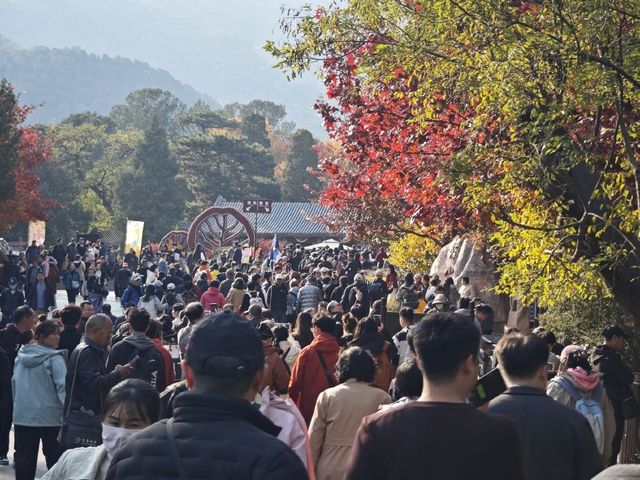 北京香山公园红叶迎最佳观赏期