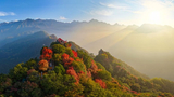 西安：红叶点缀山巅 秦岭翠华山云雾缭绕宛如仙境