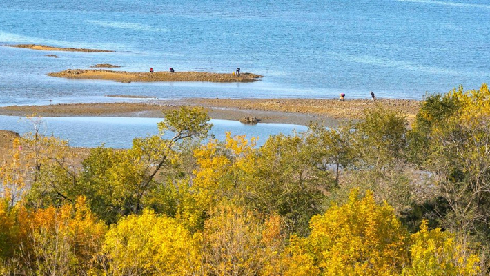 青岛：唐岛湾湿地公园五彩缤纷