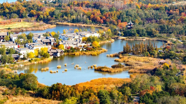 青岛：唐岛湾湿地公园五彩缤纷