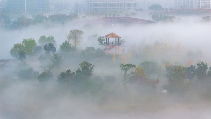 安徽淮北：晨雾笼罩碳金湖湿地公园