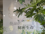 邂逅自然与艺术之美：曾焱冰水彩花卉展惊艳植物园